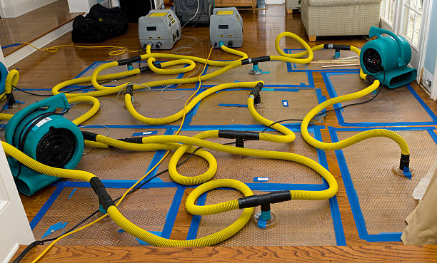 Professional Water Extraction technician working in Westport, WA